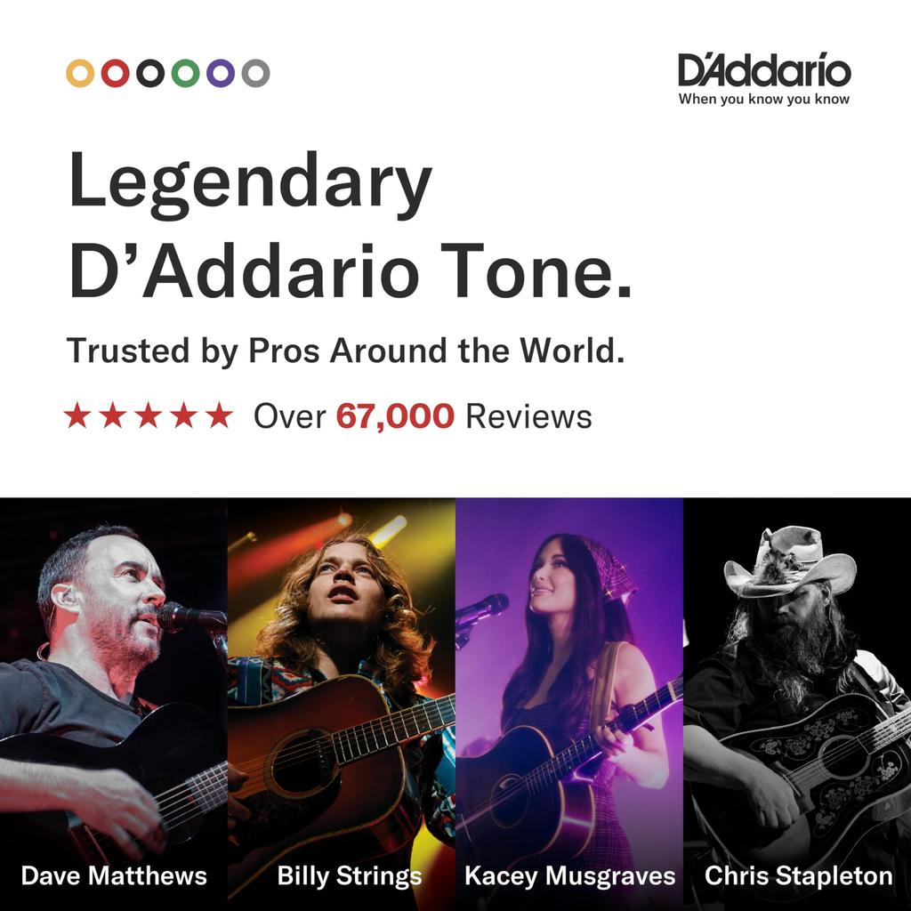 Phosphor Bronze Acoustic Guitar Pack of 10 D'Addario Strings, Medium, .013-.056, EJ17-10P,