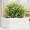 VidaXL Planter White 50x50x23 Cm Solid Pine Wood, Outdoor Planter, Flower Box, Plant Box, Planter of 847184