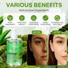 Kiss Beauty Гель алоэ вера гель увлажняющая эссенция гель увлажняющий увлажняющий крем гель алоэ вера