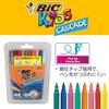 BIC Japan Cascade Войлочные ручки на водной основе, набор 30 штук, CSD-30