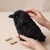 Soft Fabric Realistic Crow Plush Toy Black Color Gothic Crow Stuffed Toy Bird Soft Doll  Home Decor