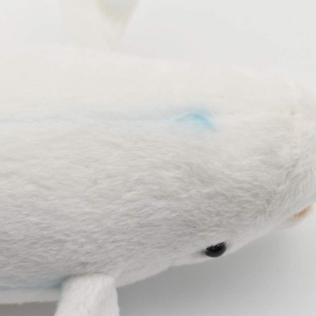 BH6651 HANSA Beluga 25