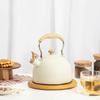 Fancy Stainless Steel Whistling Tea Kettle Wooden Handle Whistle Tea Pot Classic Water Boiler For All Stovetops Mint Green