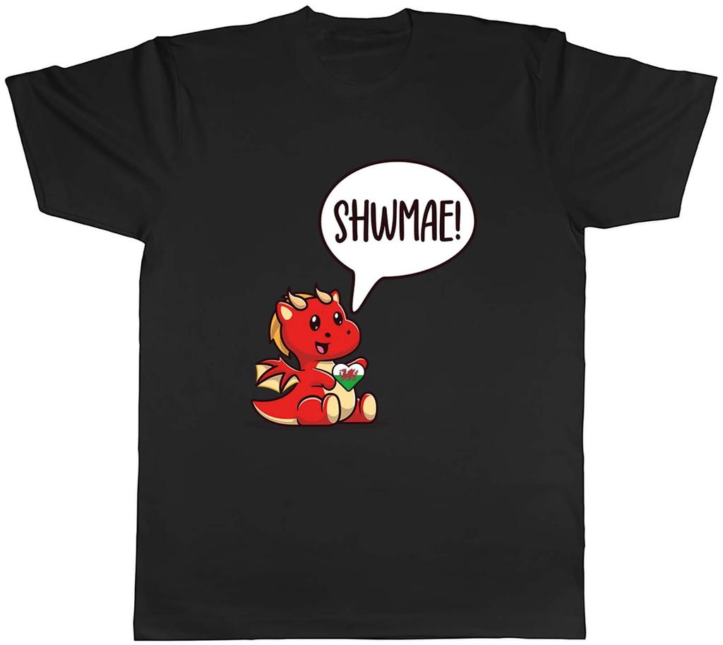 Shwmae Sumae Day Unisexs TShirt Love Welsh Wales Dragon Tee Gift