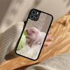 Cute Pig Phone Case Silicone PC+TPU Case for iPhone 11 12 13 Pro Max 8 7 6 Plus X SE XR Hard Fundas