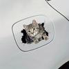 Автомобильная наклейка Милый 3D Кот Личность Блок Кузов Царапина Авто Мотоцикл Универсальные Декоративные Наклейки Автоаксессуары