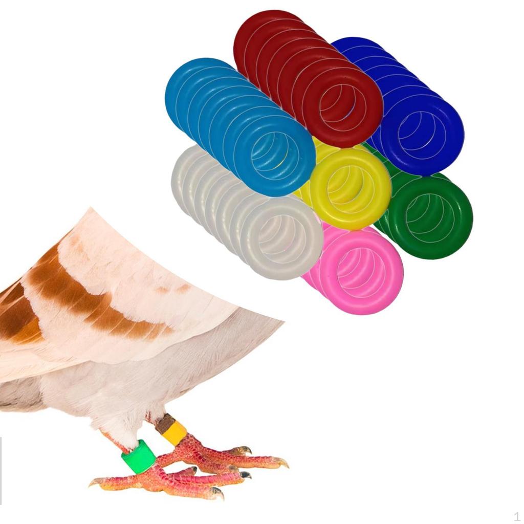 100 Bird Leg Rings Foot Bands Rubber Identification for Pigeons Routine
