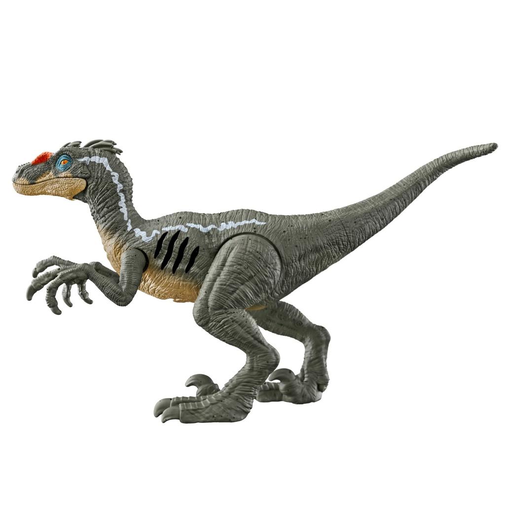 Mattel Jurassic World Хикару Велоцираптор возрастом 10 лет и повреждениями HNC11! [Общая длина приблизительно. 19,8 см] [4 вверх]
