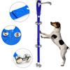Universal Pet Training Bell Creative Dog Potty Training Bell House Training Dog Doorbell  Gift