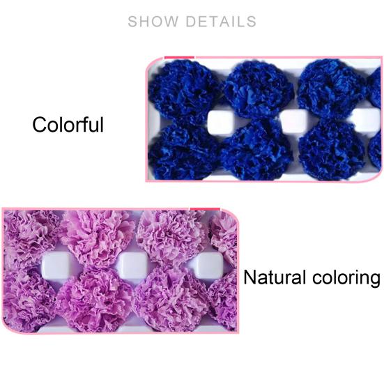 8Pcs Preserved Flower Head Carnation Decorative Dried Flower Mothers Day Gift Box Flower for Mother