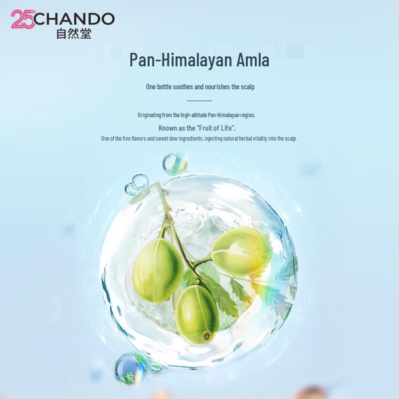 CHANDO Шампунь для контроля жирности и придания объема 600 г
