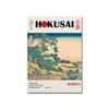 Винтажный японский постер с изображением горы Фудзи, художественная печать, пейзаж Хокусая, картина на холсте, ботаническая настенная картина для гостиной, домашний декор