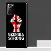 Чехол с флагом Грузии для Samsung Galaxy S23 S24 S25 Ultra S9 S10 S20 S21 S22 Plus S23 FE S25 FE Защитная крышка для телефона