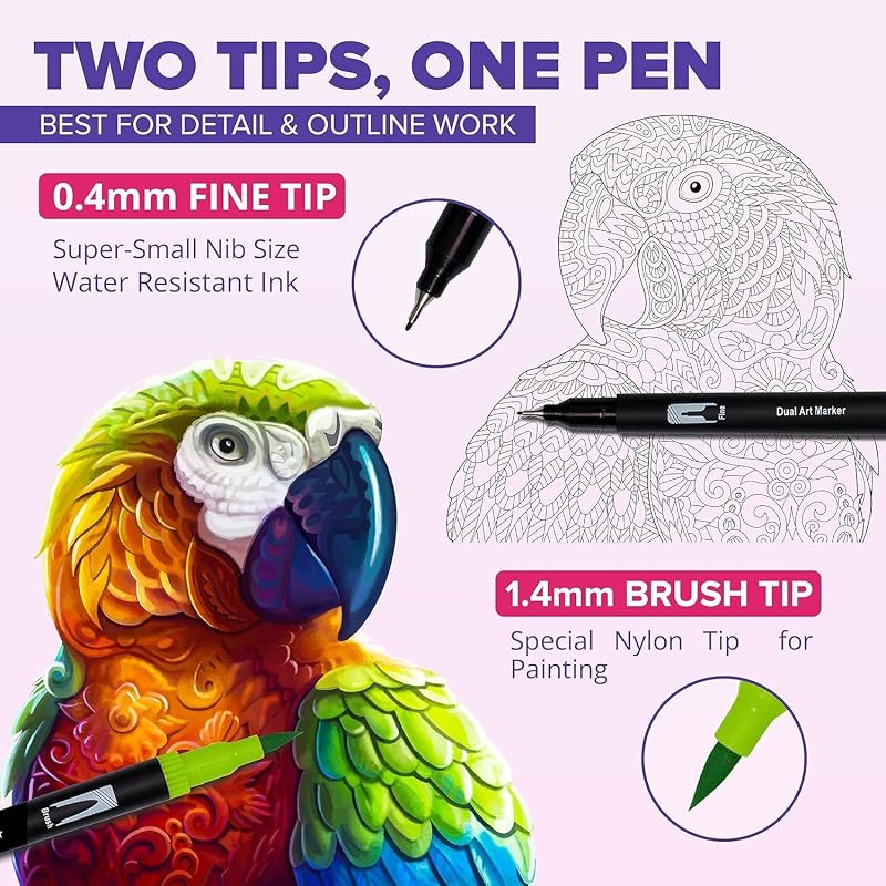 Corslet 24 Pcs Dual Tip Brush Pens 24 Shades Calligraphy Brush Pen Sketches Fineline Coloured Pen Brush Colour For Color