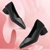 High-heeled Shoes Women's Thick Heels Spring and Summer Korean Version Joker Pointed Shoes Middle School Shoes with Work Shoes