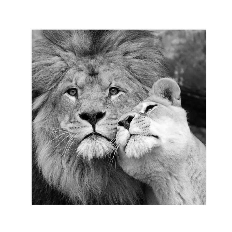 Дикий лев холст картины постеры и принты современное настенное искусство картина для гостиной украшение дома Cuadros