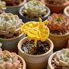 3D-printed Insect Water Cup Plastic Bee Water Dispenser Bee Water Station  Balcony