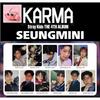 Stray Kids Сынмин КАРМА АЛЬБОМ ФОТОКАРТА ОФИЦИАЛЬНАЯ