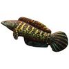 Realistic Stuffed Animal Pillow 40/60cm Carp Plush Pillow Simulation Fish Plush Toy  Birthday Gifts