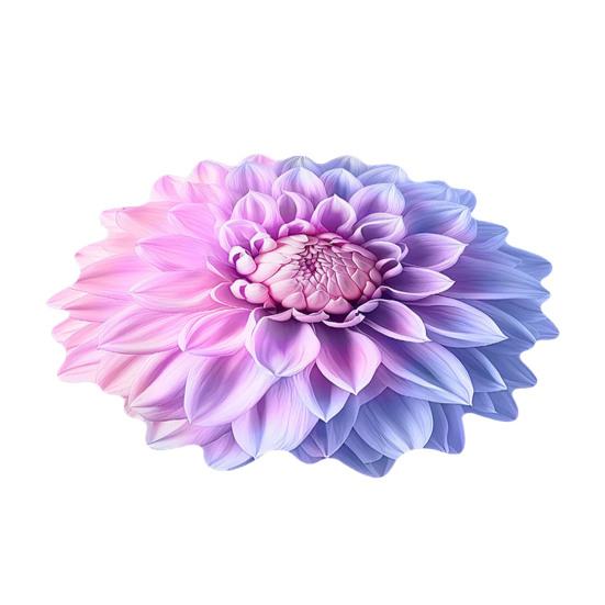 3D Flower Floor Mat Absorbent Large Flower Area Rug Non-Slip Bathroom