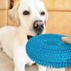 Squeaky Interactive Pet Dog Chew Toy Puppy Bite Resistant Thorn Barbed Tooth Cleaning Toy TPR Molar Chew Toys for Dogs