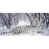 5D DIY Diamond Painting Embroidered Animal White Tiger Cross Stitch Full Round Diamond Painting Rhinestone Home Decoration Gift