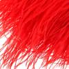 Wedding Dress Feathers Ribbon Ostrich Feathers Trim Plumes Ribbon Selvage 8-10 CM Wide 1 Meter Long