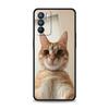 Чехол для телефона для Oppo Reno13 Reno12 Reno11 F Reno10 Pro A54 A53 A95 A76 A74 A57 A98 A80 A79 5G A78 4G Cover Кавайный Кот с Сердечком