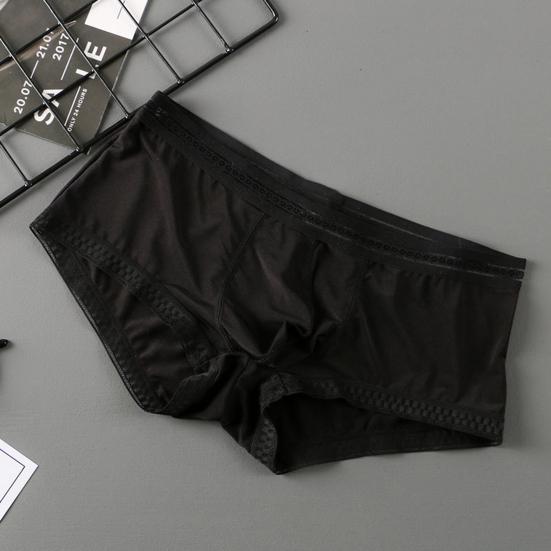 Men Underpants Ice Silk Ultra Thin Low-Rise Lace Solid Color Sexy 3D U Convex Translucent Underwear Panties Briefs for Daily Wear