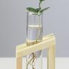 Decorative Hydroponic Tube Test Tube Vase Transparent Glass Universal Vases for Home