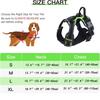 Light Up LED Dog Harness Adjustable Dog Glow Vest Practical Luminous Pet Chest Strap  Cats Pet