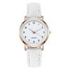 Trendy Unisex Simple Ladies Watch Casual Leather Belt Quartz Clock Wristwatches Small Dial New Women Girl Fashion