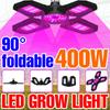 LED Full Spectrum Phytolamp UV Plant Grow Light Bulb Hydroponic Phyto Lamp Indoor Flower Seeds LED Growth Lights 200W 300W 400W