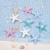 5 Pcs Starfish Hair Clip Beach Sea Star Hair Pins Mermaid Hair Clips Accessories for Women and Girls