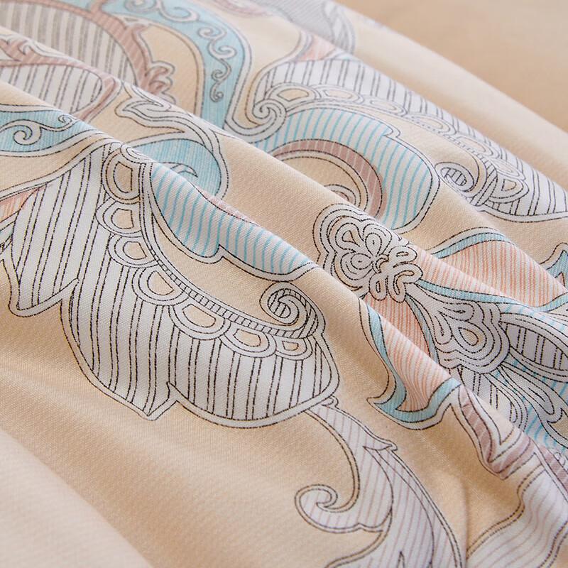 Yalu Elegant Feather Velvet Quilt