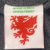 FA Wales Bobble Knitted Beanie