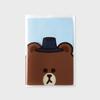 Brown Tourist Passport Wallet
