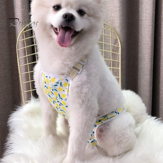 Менструальные штаны для домашних животных, регулируемые гигиенические трусики для собак, удобные герметичные физиологические штаны для домашних животных, товары для домашних животных