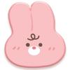 Animal Character Acrylic Smart Tok, Rabbit, 1 Piece