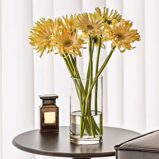 Прозрачная цилиндрическая ваза для цветов, свадебная вечеринка, обеденный стол, центральный элемент, гидропонный держатель для цветов, прозрачный