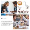 Hen Educational Toys Life Cycle Figures White Goose Cycle Duck Figurine Growth Cycle Simulation