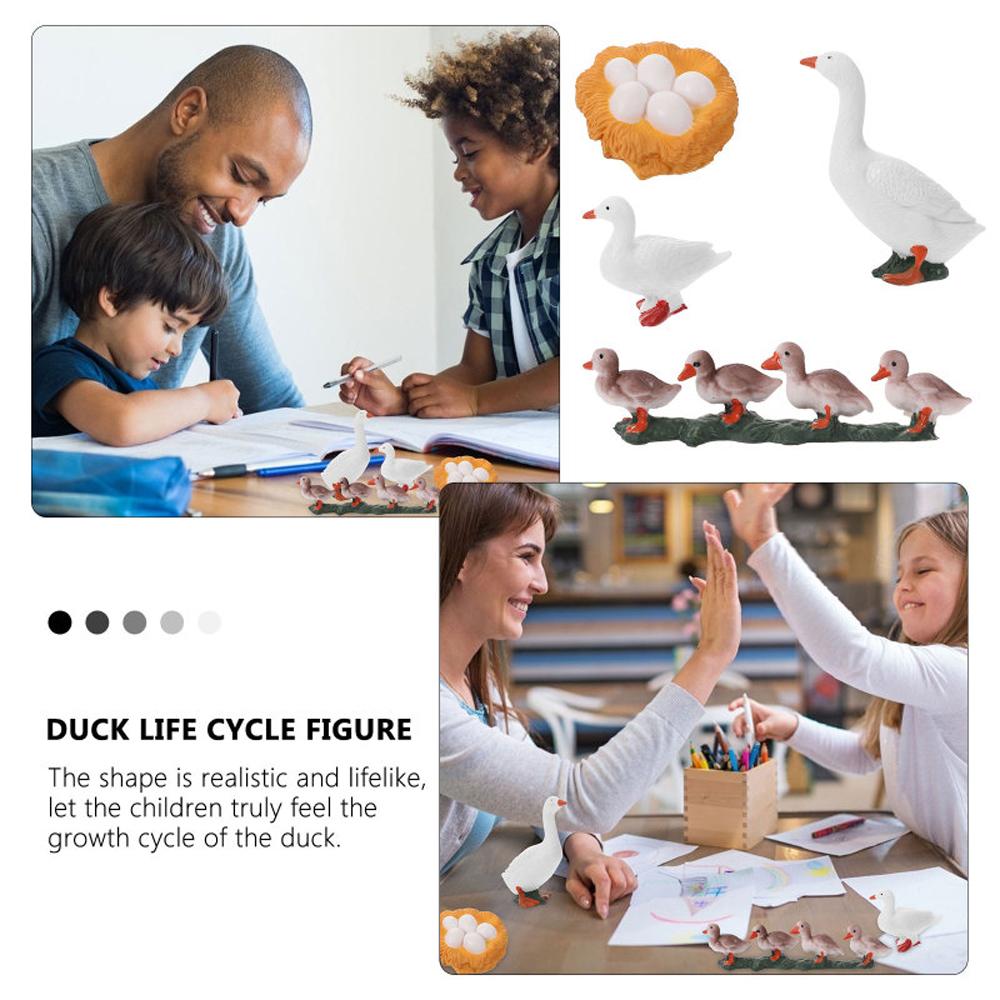 Hen Educational Toys Life Cycle Figures White Goose Cycle Duck Figurine Growth Cycle Simulation