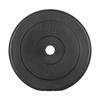 Bituminous Load Set 2X10Kg 20Kg Hole 31Mm Classic Plate Rebel