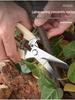 Handcrafted Floral Pruning Shears for Trees and Flowers