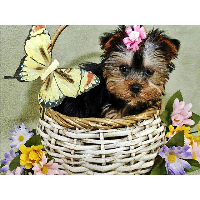 DIY 5D Алмазная картина Собака Вышивка крестиком Алмазная вышивка Продажа Животное Мозаика Стразы Фотографии