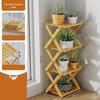 Multi-tier Plant Display Stand