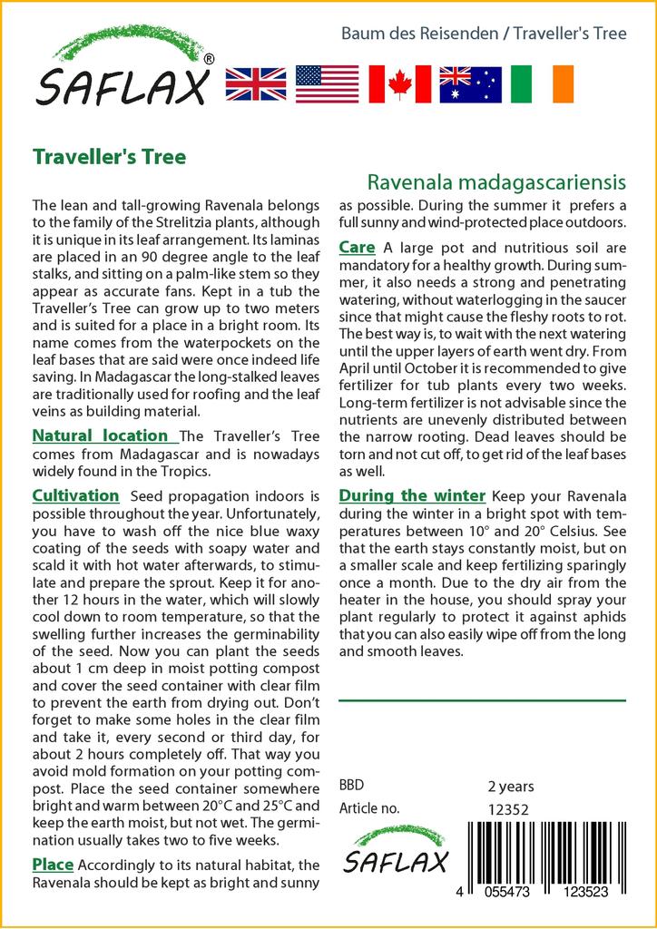 SAFLAX Дерево путешественника - 8 семян - Ravenala madagascariensis