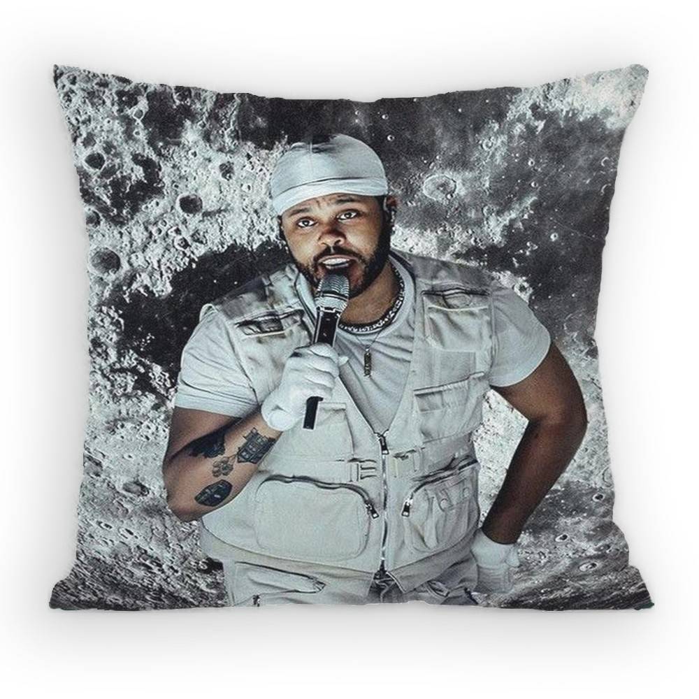 The WWeeknd XO Singer Pillow Case Antidustmite Pillowcase Invisible zipper silky short plush Sofa cushion cover