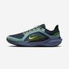 Air Zoom Pegasus 41 Gore-Tex [FQ1356] [Отправка из Кореи] 100% Оригинал