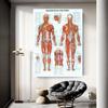 Retro Organ Systems In The Human Canvas Painting Posters Skeleton Anatomy Kraft Paper Prints Vintage Home Room Art Wall Decor Paintings
